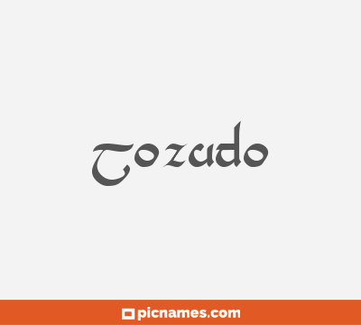 Tozudo