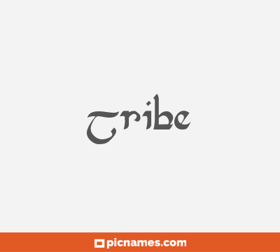 Tribe