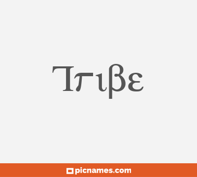 Tribe