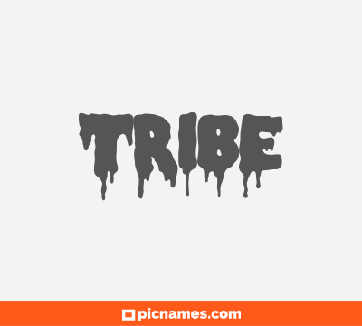 Tribe