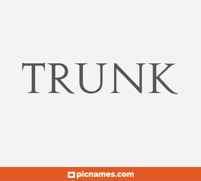 Trunk