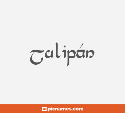 Tulipán