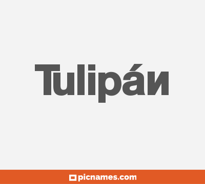 Tulipán