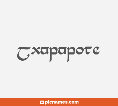 Txapapote