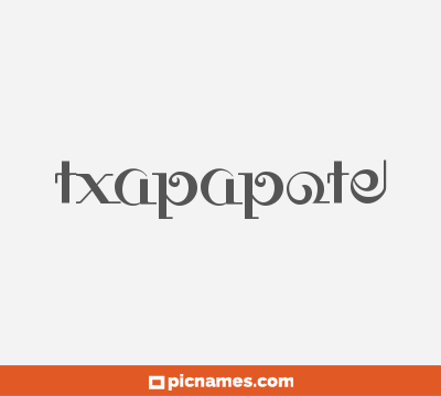 Txapapote