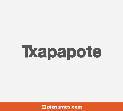 Txapapote