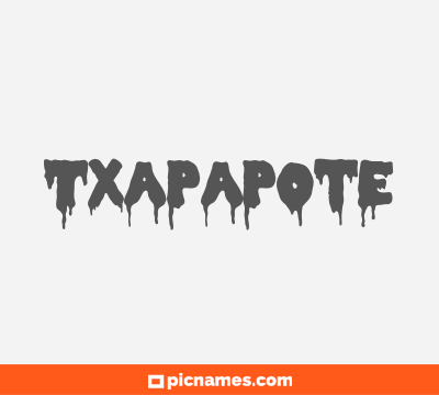 Txapapote