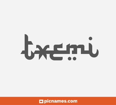 Txemi