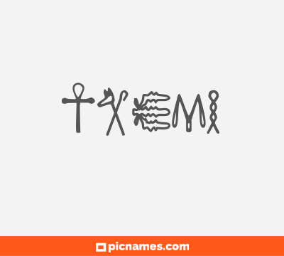 Txemi