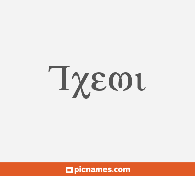 Txemi