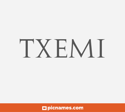 Txemi