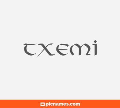 Txemi