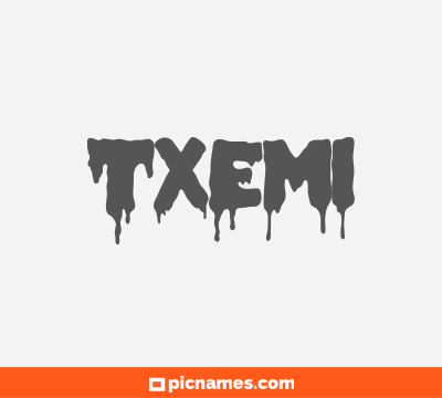 Txemi