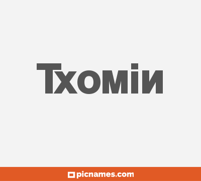 Txomin