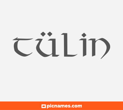 Tülin