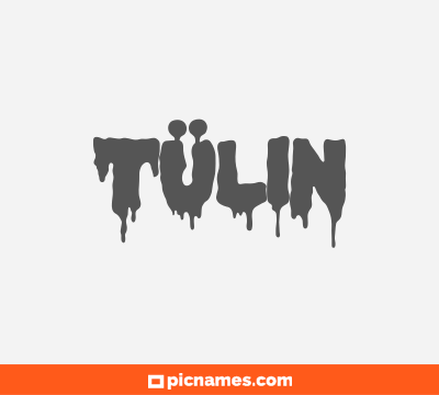 Tülin