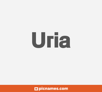 Uria