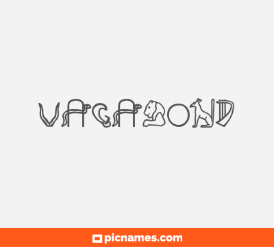 Vagabond