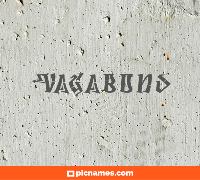 Vagabond
