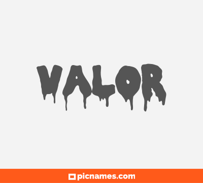 Valor