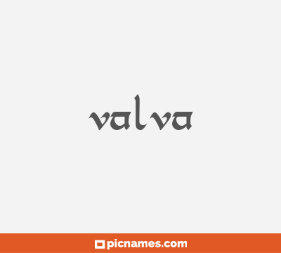 Valva