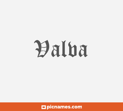 Valva