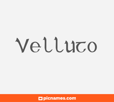 Velluto