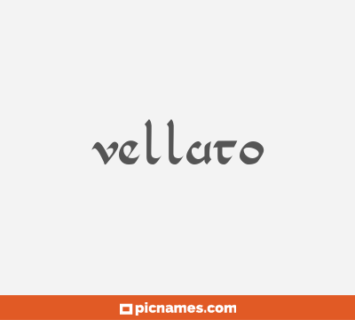 Velluto