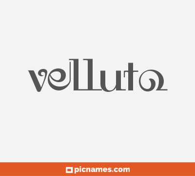 Velluto