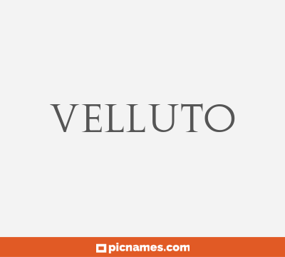 Velluto