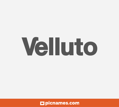 Velluto