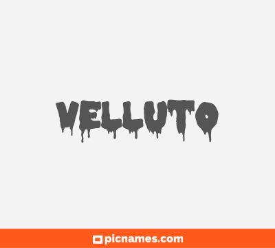 Velluto