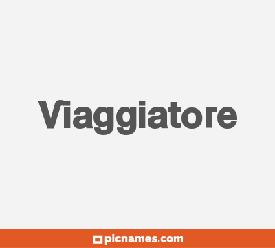 Viaggiatore