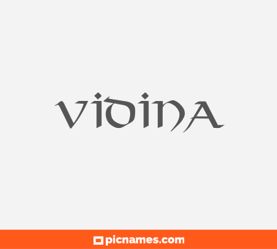 Vidina