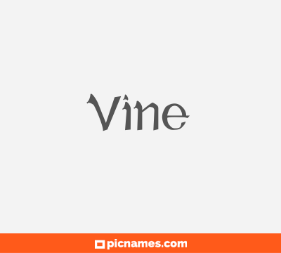 Vine