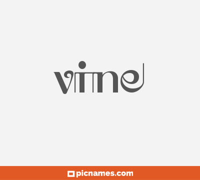 Vine