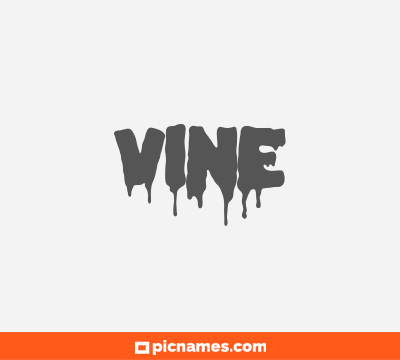 Vine