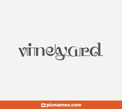 Vineyard