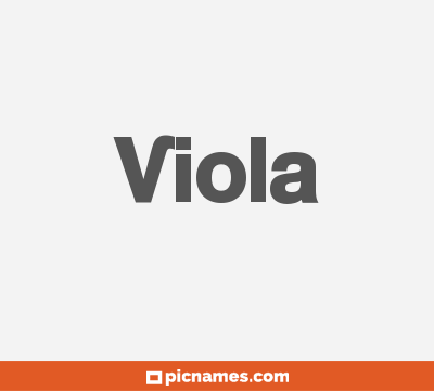 Viola