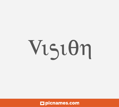 Vision