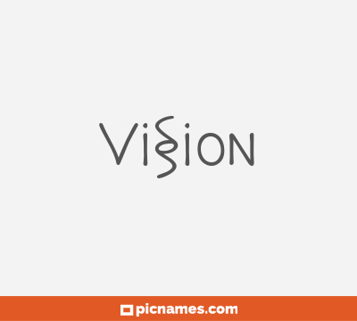 Vision