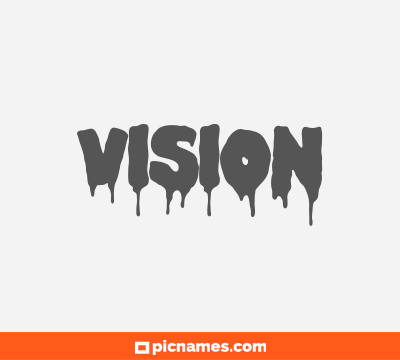 Vision