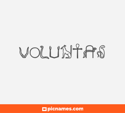 Voluntas