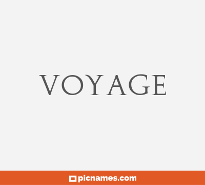 Voyage