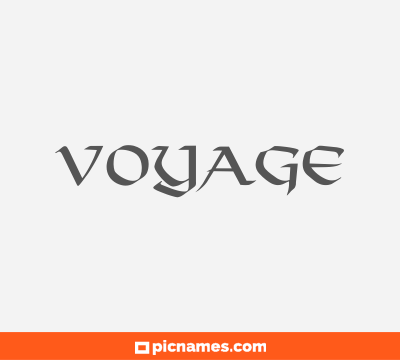 Voyage