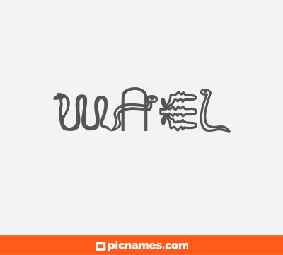 Wael
