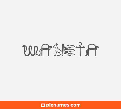 Waneta