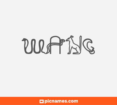 Wang