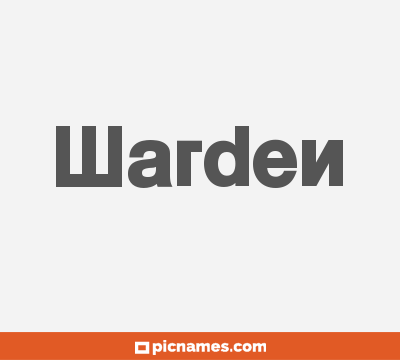 Warden