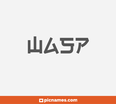 Wasp